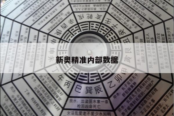 新奥精准内部数据/新奥大数据