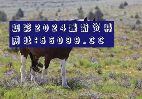 2022年澳门免费资料大全正版长期,绝对策略计划研究_社交版40.12.0