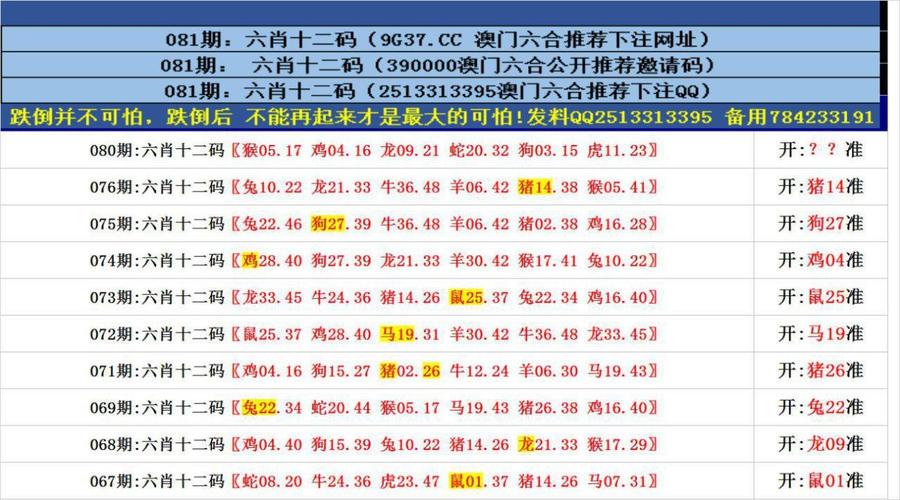 澳门资料持续更新,设计策略快速解答_VR型43.237