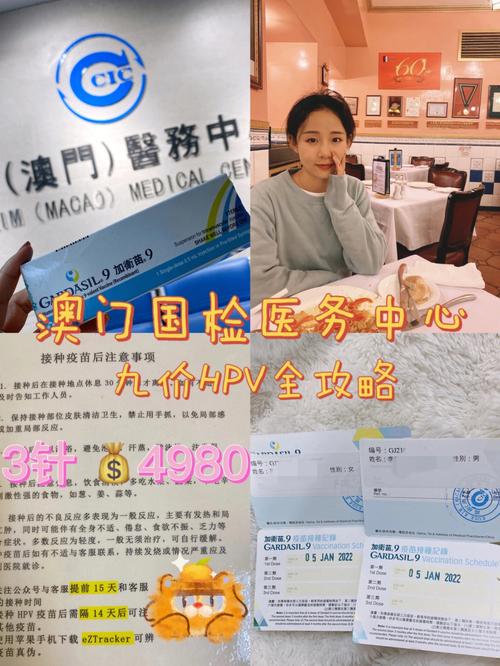 澳门天天彩精准免费资料2022亮点,设计策略快速解答_整版DKJ656.74