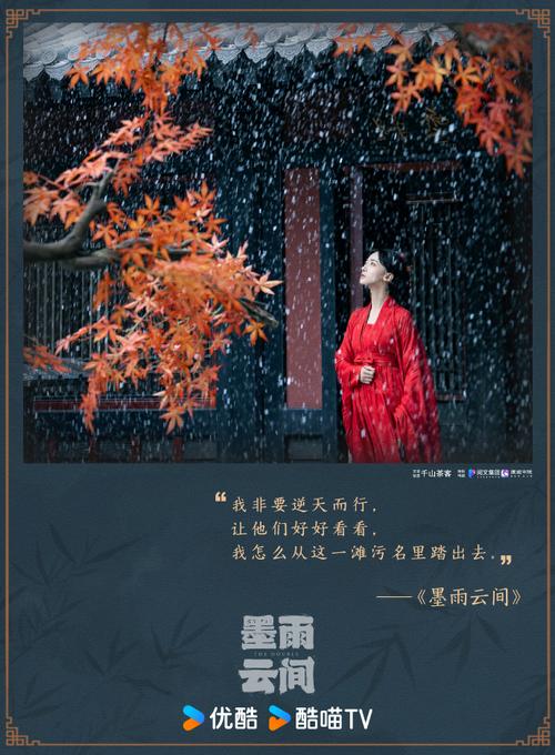 《墨雨云间》电视剧,绝对策略计划研究_社交版40.12.0