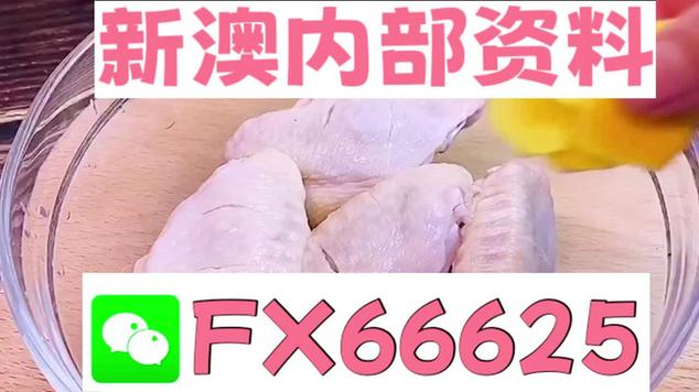 新澳门内部资料精准大全今天,设计策略快速解答_整版DKJ656.74