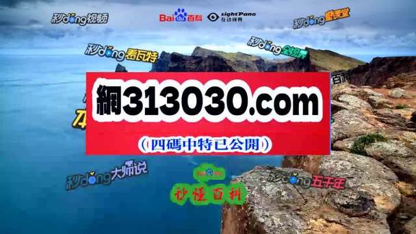 王中王一码一肖100精准,真实经典策略设计_VR型43.237