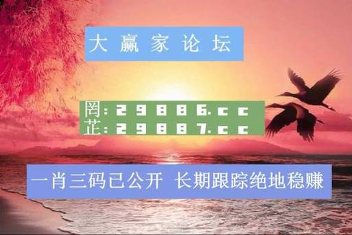 2024年澳门资料大全正版资料免费,设计策略快速解答_整版DKJ656.74