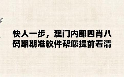 2023澳门精准免费资料大全聚侠网,真实经典策略设计_VR型43.237