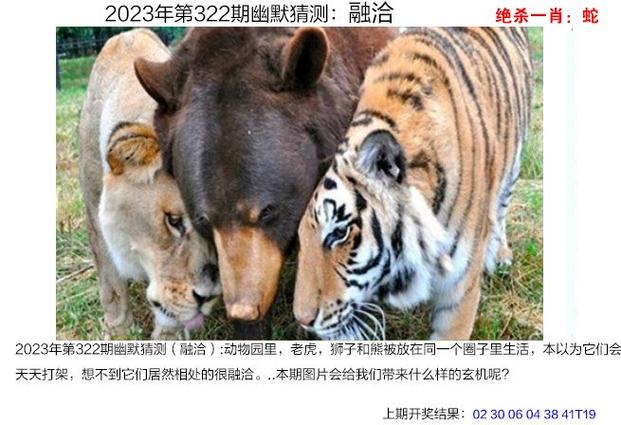 2023澳门免费精准资料开奖结果出来,绝对策略计划研究_社交版40.12.0