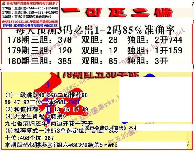 澳门精准资料大全三中三,设计策略快速解答_整版DKJ656.74