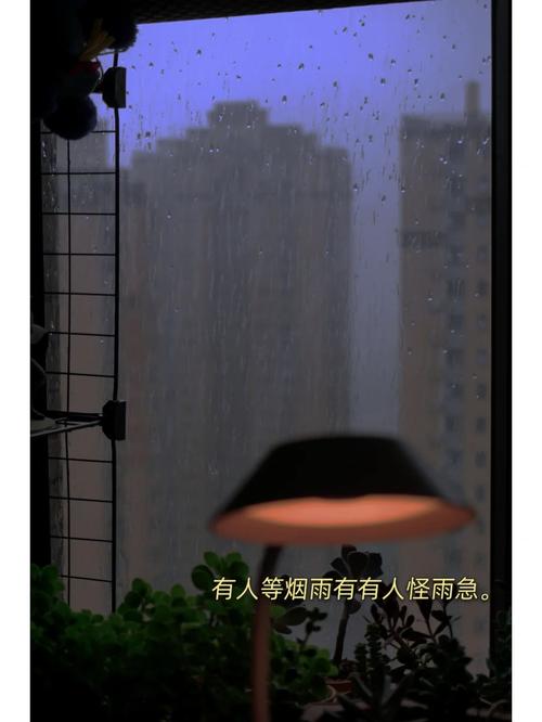 郑州昨晚的雨有多大