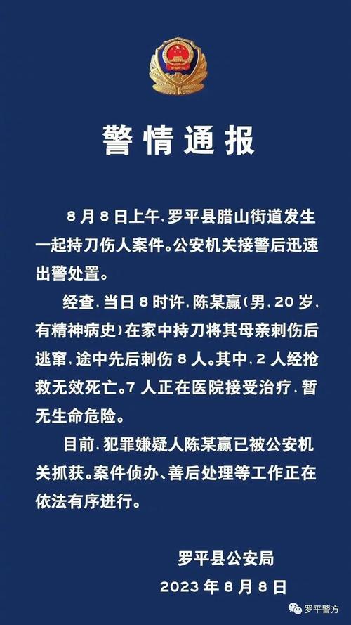 新澳门彩开奖结果今天和停车失误致1死2伤与男子停车失误